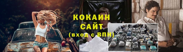 крисы Бородино