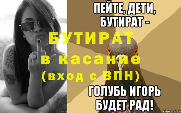 крисы Бородино