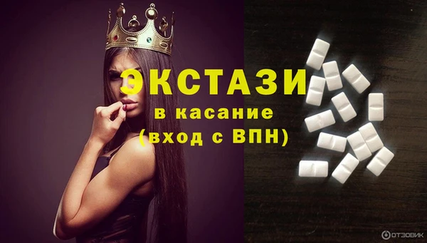 крисы Бородино