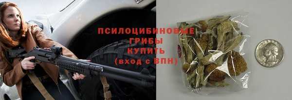 крисы Бородино