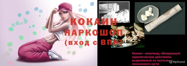 крисы Бородино