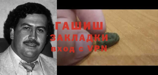 крисы Бородино