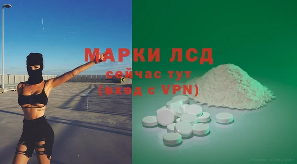 амф Верея