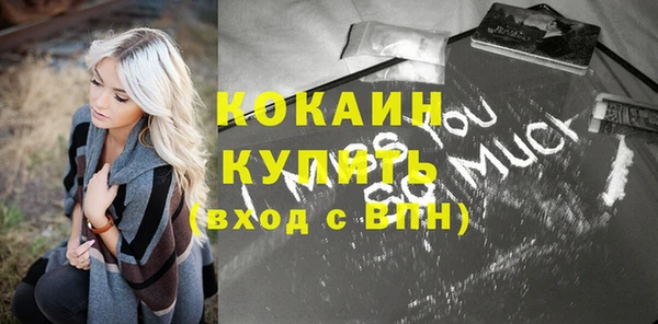 крисы Бородино