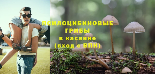 крисы Бородино