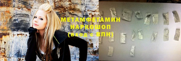 крисы Бородино