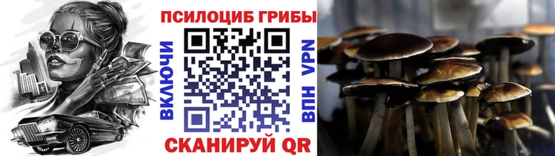Псилоцибиновые грибы Cubensis  Волосово 